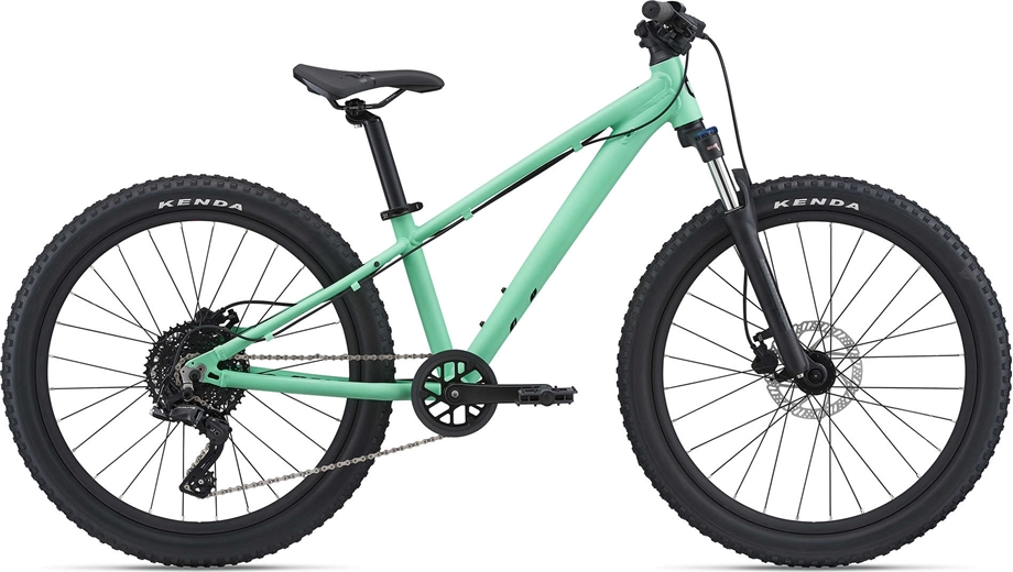 Slika OTROŠKO KOLO GIANT STP 24 2022