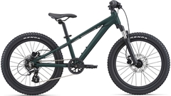 OTROŠKO KOLO GIANT STP 20