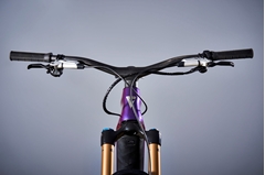 ELEKTRIČNO KOLO GIANT REIGN ADVANCED E+0