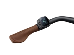 ELEKTRIČNO KOLO GIANT LIV ALLURE 2