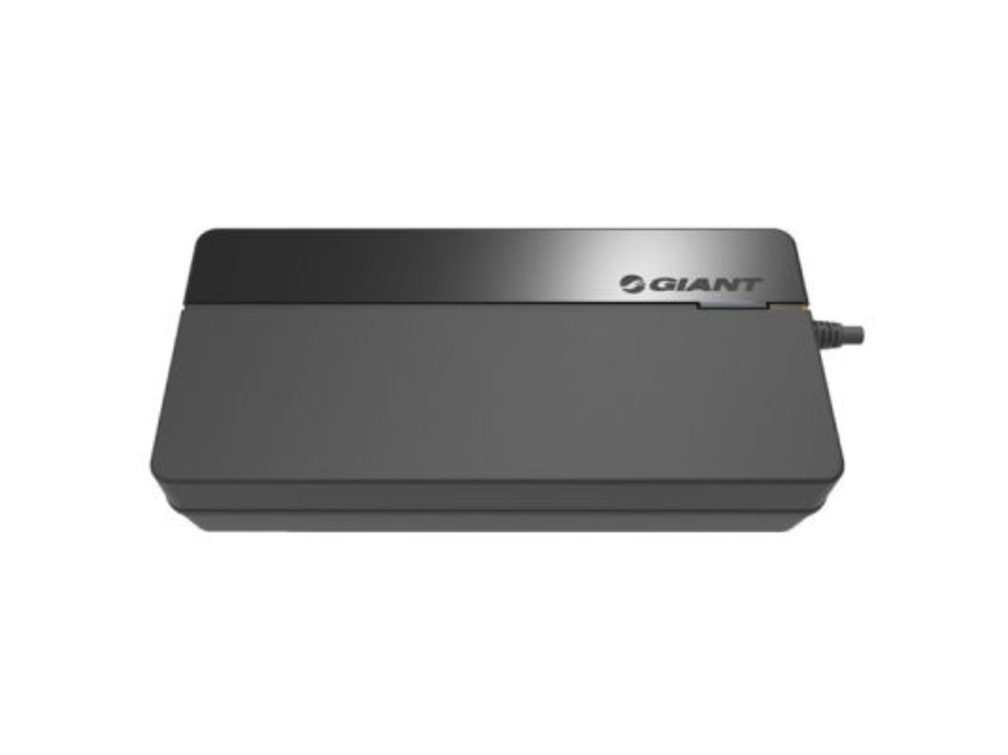 Slika GIANT ENERGYPACK SMART CHARGER 