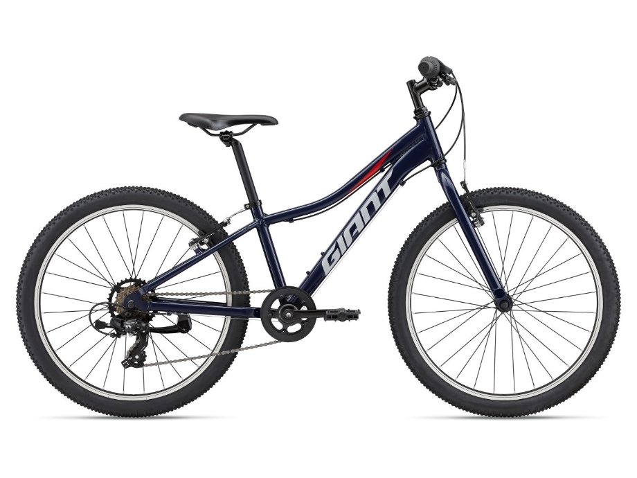 Slika OTROŠKO KOLO GIANT XTC JR 24 LITE