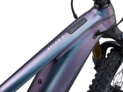 ELEKTRIČNO KOLO GIANT REIGN E+1 V2 2025