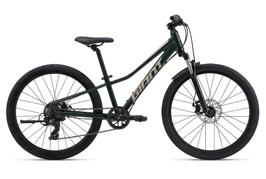 Slika OTROŠKO KOLO GIANT TALON 24 DISC