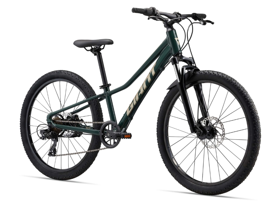 Slika OTROŠKO KOLO GIANT TALON 24 DISC