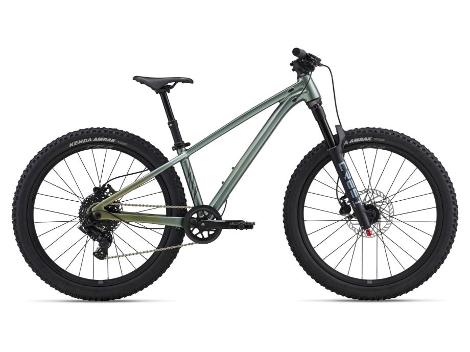 Slika OTROŠKO KOLO GIANT LIV STP 24"