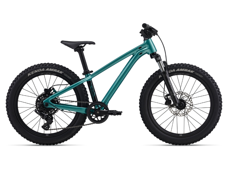 Slika OTROŠKO KOLO GIANT STP 20