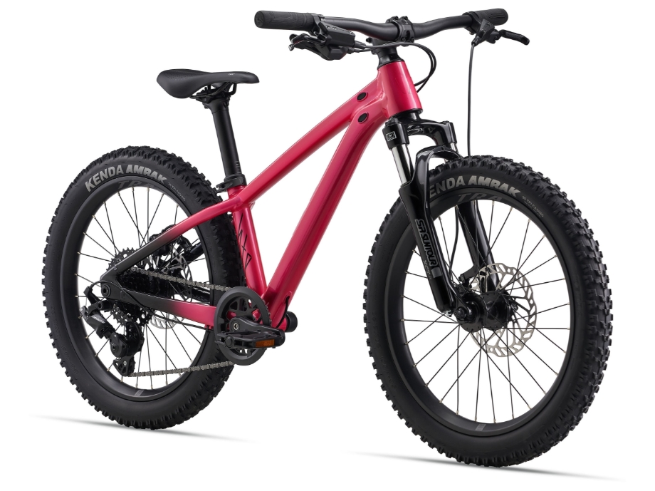 Slika OTROŠKO KOLO GIANT LIV STP 20