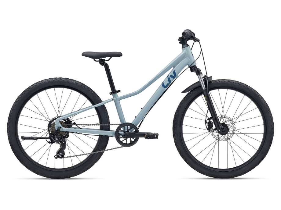 Slika OTROŠKO KOLO GIANT TEMPT 24
